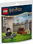 Конструктор LEGO Harry Potter Урок по квиддичу (30706) Конструктор LEGO Harry Potter Урок по квиддичу (30706)
