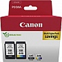 Набор картриджей Canon PG-445 Black + CL-446 Color (8283B008) Набор картриджей Canon PG-445 Black + CL-446 Color (8283B008)